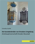 Cornelius Gurlitt - Die Kunstdenkmäler von Dresdens Umgebung
