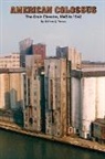 William J. Brown - American Colossus: The Grain Elevator, 1