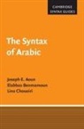 Joseph Aoun, Joseph E. Aoun, Joseph E. (Northeastern University Aoun, Joseph E. Choueiri Aoun, Elabbas Benmamoun, Elabbas (University of Illinois Benmamoun... - Syntax of Arabic
