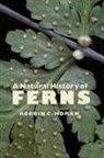 Robbin C. Moran, Robbin C. Moran - A Natural History of Ferns
