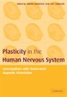 Simon Boniface, Simon Ziemann Boniface, Simon Boniface, Boniface Simon, Boniface Simon, Ulf Ziemann... - Plasticity in the Human Nervous System