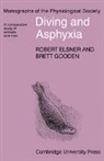 Robert Elsner, Robert Gooden Elsner, Brett Gooden, Elsner Robert - Diving and Asphyxia
