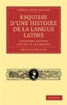 Meillet Antoine, Antoine Meillet - Esquisse d'une histoire de la langue latine