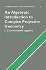 Peskine Christian, Christian Peskine, Christian (Universite De Paris VI (Pierre Peskine, Christian (Universite de Paris VI (Pierre et Marie Curie)) Peskine - Algebraic Introduction to Complex Projective Geometry