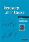 Michael P. Barnes, Michael P. (University of Newcastle Upon T Barnes, Michael P. Dobkin Barnes, Michael P. Barnes, Barnes Michael P., Julien Bogousslavsky... - Recovery After Stroke