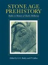 G. N. Bailey, G. N. Callow Bailey, G.n. Callow Bailey, G. N. Bailey, Bailey G. N., P. Callow... - Stone Age Prehistory