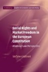 Stefano Giubboni, Stefano (Professor Giubboni - Social Rights and Market Freedom in the European Constitution
