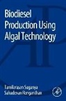 Sahadevan Renganathan, Sahadevan (Associate Professor Renganathan, Sahadevan Renganthan, Tamilarasan Suganya, Tamilarasan (M.Sc Suganya - Biodiesel Production Using Algal Technology