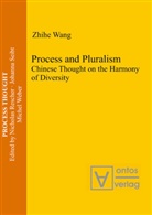 Zhihe Wang - Process and Pluralism