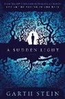 Garth Stein - A Sudden Light