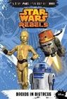 DISNEY BOOK GROUP, Disney Book Group (COR), Michael Kogge - Droids in Distress