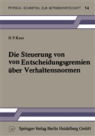 H -P Kaus, H. -P. Kaus, H.-P. Kaus, Hans-Paul Kaus - Die Steuerung von Entscheidungsgremien über Verhaltensnormen