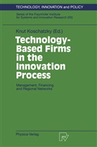 Knu Koschatzky, Knut Koschatzky - Technology-Based Firms in the Innovation Process
