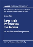 Jocelyn Braun - Large-scale Privatization via Auctions