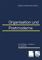 Georg Schrey¿gg, Geor Schreyögg, Georg Schreyögg - Organisation und Postmoderne
