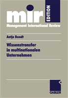 Antje Bendt - Wissenstransfer in multinationalen Unternehmen