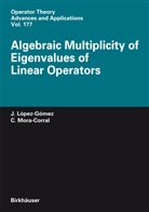 J. Lopez-Gomez, Juliá López-Gómez, Julián López-Gómez, C. Mora-Corral, Carlos Mora-Corral - Algebraic Multiplicity of Eigenvalues of Linear Operators