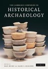 Dan Hicks, Dan Beaudry Hicks, Mary C Beaudry, Mary C. Beaudry, Mary Carolyn Beaudry, Dan Hicks... - Cambridge Companion to Historical Archaeology