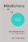 Jan Chozen Bays - Mindfulness on the Go