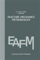 Georg C Sih, George C Sih, Faria, Faria, L. Faria, George C. Sih - Fracture mechanics methodology