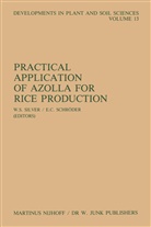 C Schröder, C Schröder, S Silver, W S Silver, E. C. Schroder, E. C. Schröder... - Practical Application of Azolla for Rice Production