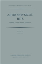 Ferrari, A Ferrari, A. Ferrari, Attilio Ferrari, Pacholczyk, Pacholczyk... - Astrophysical Jets