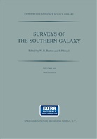 B Burton, W B Burton, W B Burton, W. B. Burton, F. P. Israel, F P Israël... - Surveys of the Southern Galaxy