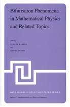 Bardos, C Bardos, C. Bardos, Claude Bardos, BESSIS, Bessis... - Bifurcation Phenomena in Mathematical Physics and Related Topics