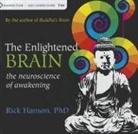 HANSON, Rick Hanson, Rick Hanson - The Enlightened Brain (Audio book)