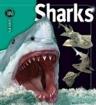Beverly Mcmillan - Sharks