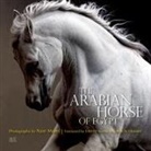 Cynthia Culbertson, Culbertson Cynthia, Nasr Marei, Nasr Marei - The Arabian Horse of Egypt