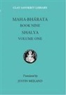 Justin Meiland, Justin (EDT) Meiland - Mahabharata