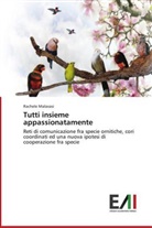 Rachele Malavasi - Tutti insieme appassionatamente