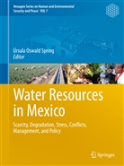 Úrsul Oswald Spring, Úrsula Oswald Spring - Water Resources in Mexico