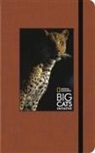 BIG CATS LARGE(9781601607898)