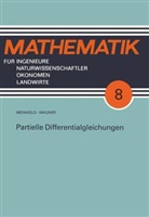 Peter Meinhold, Eberhar Wagner, Eberhard Wagner - Partielle Differentialgleichungen