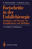 Meissner, Meissner, A. Meissner, Rahmanzadeh, R Rahmanzadeh, R. Rahmanzadeh - Fortschritte in der Unfallchirurgie