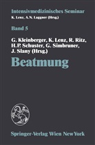 Gunther Kleinberger, Kur Lenz, Kurt Lenz, Rudolf Ritz, Rudolf Ritz u a, Hans-Peter Schuster... - Beatmung