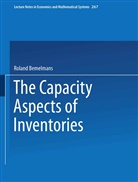 Roland Bemelmans - The Capacity Aspect of Inventories