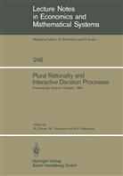 Manfred Grauer, Andrzej P Wierzbicki, Michae Thompson, Michael Thompson, Andrzej Wierzbicki, Andrzej P. Wierzbicki - Plural Rationality and Interactive Decision Processes