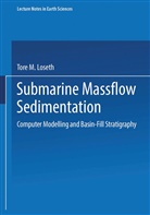 Tore M Loseth, Tore M. Loseth - Submarine Massflow Sedimentation