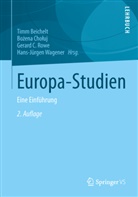 Timm Beichelt, Gerard C Rowe u a, Bo¿ena Cho¿uj, Bozen Choluj, Bozena Choluj, Gerard Rowe... - Europa-Studien