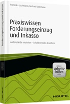Franzisk Lochmann, Franziska Lochmann, Gerhard Lochmann - Praxiswissen Forderungseinzug und Inkasso - inkl. Arbeitshilfen online