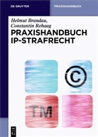 Helmu Brandau, Helmut Brandau, Constantin Rehaag - Praxishandbuch IP-Strafrecht