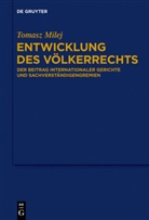 Tomasz Milej - Entwicklung des Völkerrechts