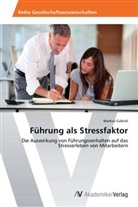 Markus Gabriel - Führung als Stressfaktor
