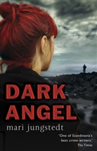 Mari Jungstedt - Dark Angel