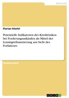 Florian Stiefel - Potentielle Indikatoren des Kreditrisikos bei Forderungsankäufen als Mittel der Leasingrefinanzierung aus Sicht des Forfaiteurs
