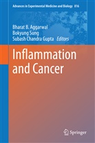 Bharat B. Aggarwal, Subash Chandra Gupta, Subash Chandra Gupta, Bokyun Sung, Bokyung Sung - Inflammation and Cancer