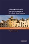 Stephen J. Turnovsky, Stephen J. (University of Washington) Turnovsky, Turnovsky Stephen J. - Capital Accumulation and Economic Growth in a Small Open Economy